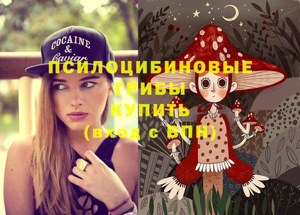 гидра Алзамай