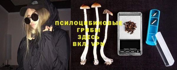 гидра Алзамай