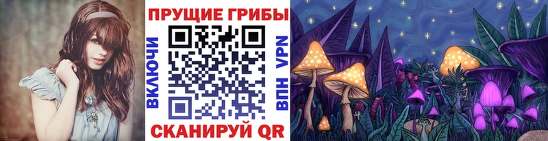 Галлюциногенные грибы Psilocybe  закладка  Ветлуга 