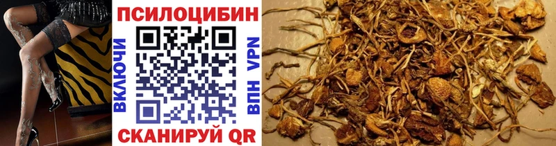 Галлюциногенные грибы Cubensis Ветлуга